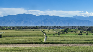 China_Reports_Sustained_Ecological_Progress_in_Key_Regions