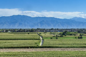 China_Reports_Sustained_Ecological_Progress_in_Key_Regions