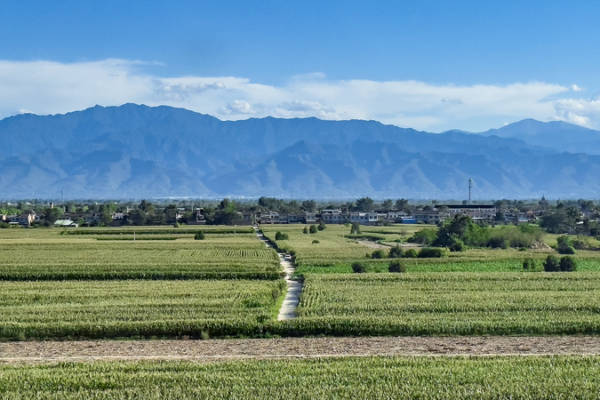 China_Reports_Sustained_Ecological_Progress_in_Key_Regions