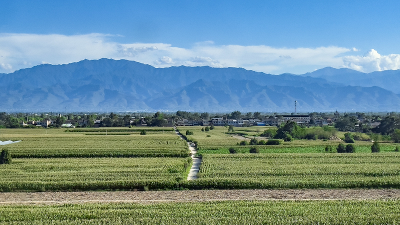 China_Reports_Sustained_Ecological_Progress_in_Key_Regions