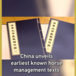 China_Unveils_Ancient_Horse_Management_Texts_from_Warring_States_Era video poster
