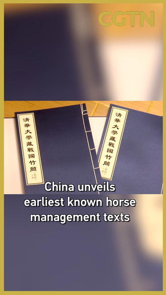 China_Unveils_Ancient_Horse_Management_Texts_from_Warring_States_Era video poster