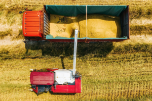 China_Unveils_Long_Term_Poverty_Strategy__Boosts_Agricultural_Modernization_in_2026 video poster