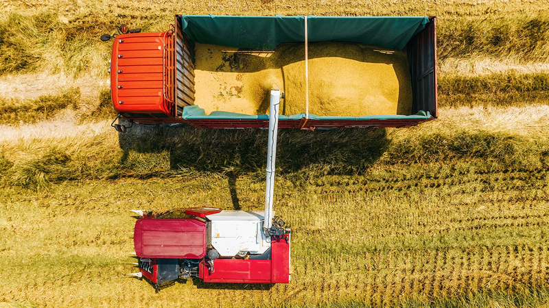 China_Unveils_Long_Term_Poverty_Strategy__Boosts_Agricultural_Modernization_in_2026_poster - Khabar Asia China_Unveils_Long_Term_Poverty_Strategy__Boosts_Agricultural_Modernization_in_2026 video poster