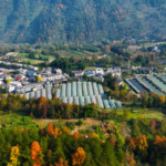 China_s_Rural_Revitalization_Gains_Momentum_in_2026_Through_Industrial_Growth