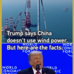 China_s_Wind_Power_Dominance_Debunks_Trump_s_Davos_Claim video poster