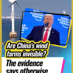 China_s_Wind_Power_Surge_Debunks_Trump_s_Claims_at_Davos_2026 video poster