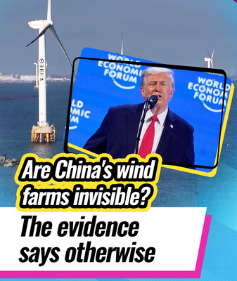 China_s_Wind_Power_Surge_Defies_Recent_Claims__Charts_Renewable_Leadership video poster
