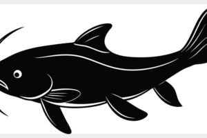 Chinese_Scientists_Decode_Genome_of_Protected_Fish_Species__Boost_Conservation_Hopes