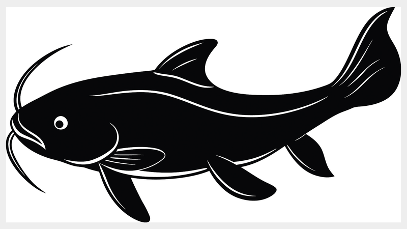 Chinese_Scientists_Decode_Genome_of_Protected_Fish_Species__Boost_Conservation_Hopes