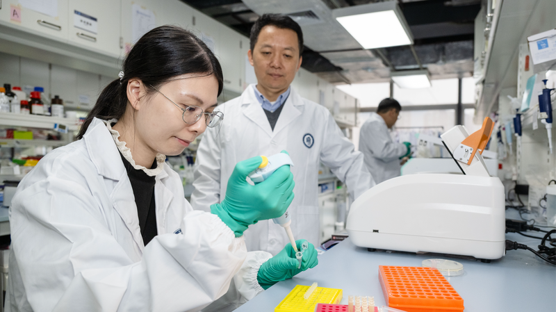 Chinese_Scientists_Pioneer_Breakthrough_in_Gene_Therapy_Delivery - Khabar Asia Chinese_Scientists_Pioneer_Breakthrough_in_Gene_Therapy_Delivery