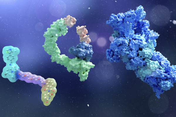 Chinese_Scientists_Pioneer_Breakthrough_in_Targeted_Protein_Degradation_Therapy