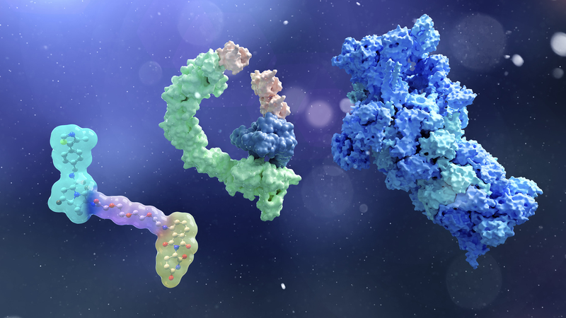 Chinese_Scientists_Pioneer_Breakthrough_in_Targeted_Protein_Degradation_Therapy