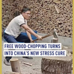 E283WOBRERT8EDLUK6AP - Khabar Asia China’s Wood-Chopping Craze Becomes Unlikely Stress Reliever in 2026 video poster