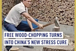 China’s Wood-Chopping Craze Becomes Unlikely Stress Reliever in 2026 video poster