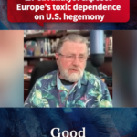 Ex_CIA_Analyst_Warns_of_Europe_s__Toxic_Dependence__on_U_S__Hegemony video poster