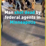 Federal_Immigration_Operation_in_Minneapolis_Turns_Deadly_Amid_Rising_Tensions video poster