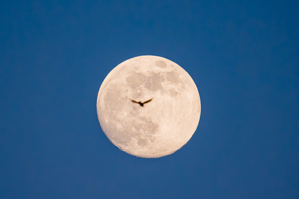 Supermoon and Quadrantid Meteor Shower Dazzle Asia’s Night Sky