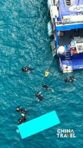 Hainan_s_Coral_Revival__Tourists_Join_Marine_Conservation_Efforts video poster