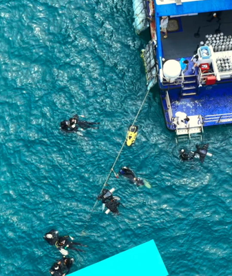 Hainan_s_Coral_Revival__Tourists_Join_Marine_Conservation_Efforts video poster