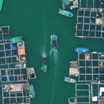 Hainan_s_Floating_Villages__Preserving_Centuries_Old_Danjia_Culture video poster