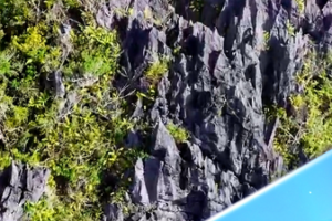 Hainan_s_Xian_an_Stone_Forest_Emerges_as_Eco_Cultural_Tourism_Hub video poster