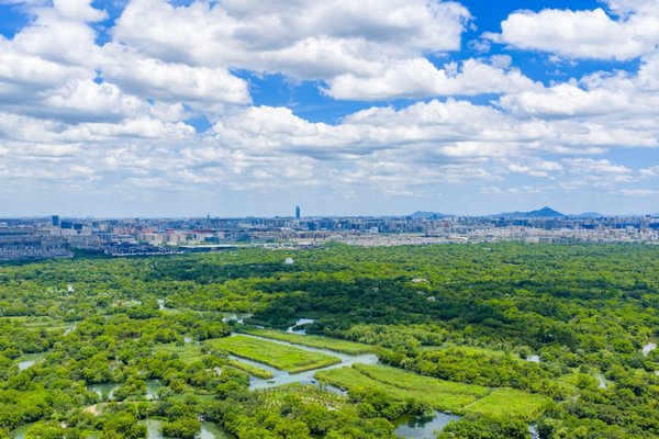 Hangzhou_Named_Among_UN_s_Top_20_Zero_Waste_Cities_Globally