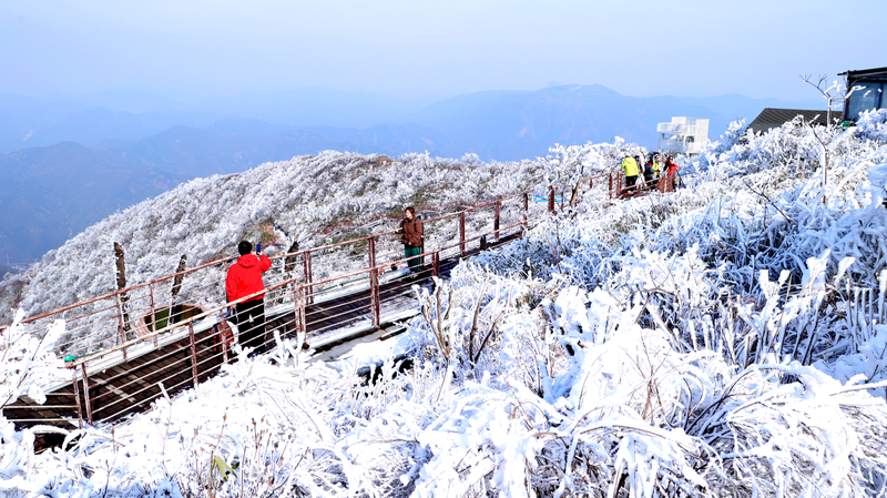 Hangzhou_s_Luniao_Mountain_Transforms_into_Winter_Wonderland_After_Snowfall
