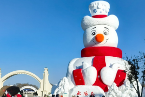 Harbin_s_Snow_Sculpture_Expo_Draws_Global_Attention_in_2026 video poster