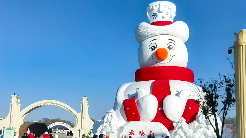Harbin_s_Snow_Sculpture_Expo_Draws_Global_Attention_in_2026 video poster