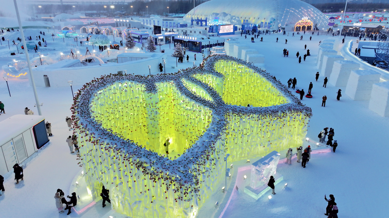 Harbin_s__Rose_Icefall__Captivates_Visitors_in_2026_Winter_Season - Khabar Asia Harbin_s__Rose_Icefall__Captivates_Visitors_in_2026_Winter_Season