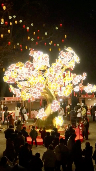 Hefei_Lantern_Fair_Lights_Up_2026_Year_of_the_Horse_Celebrations video poster