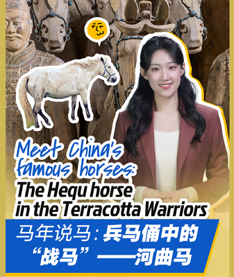 Hequ_Horses__The_Living_Legacy_Behind_China_s_Terracotta_Warriors video poster