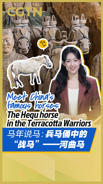 Hequ_Horses__The_Living_Legacy_Behind_China_s_Terracotta_Warriors_poster - Khabar Asia Hequ_Horses__The_Living_Legacy_Behind_China_s_Terracotta_Warriors video poster