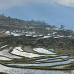 Honghe_Valley_Glamping__Where_Ancient_Terraces_Meet_Modern_Luxury