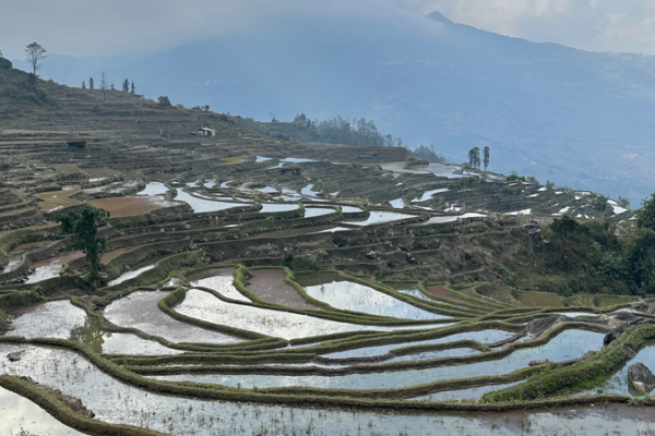Honghe_Valley_Glamping__Where_Ancient_Terraces_Meet_Modern_Luxury