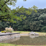 Hylla_Vintage_Hotel__Where_Tradition_Meets_Tranquility_in_Yunnan - Khabar Asia Hylla_Vintage_Hotel__Where_Tradition_Meets_Tranquility_in_Yunnan