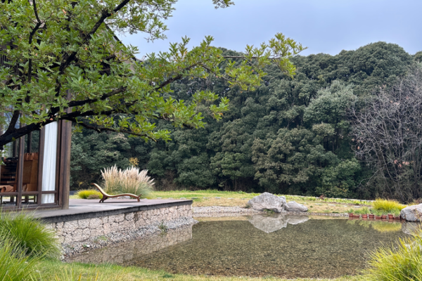 Hylla_Vintage_Hotel__Where_Tradition_Meets_Tranquility_in_Yunnan