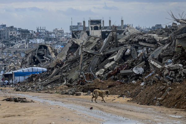 Israel_Claims_Strike_on_Hamas_Leaders_as_Gaza_Reports_14_Dead