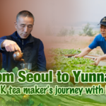 ROK Tea Master Bridges Cultures Through Chinese Pu’er Legacy video poster
