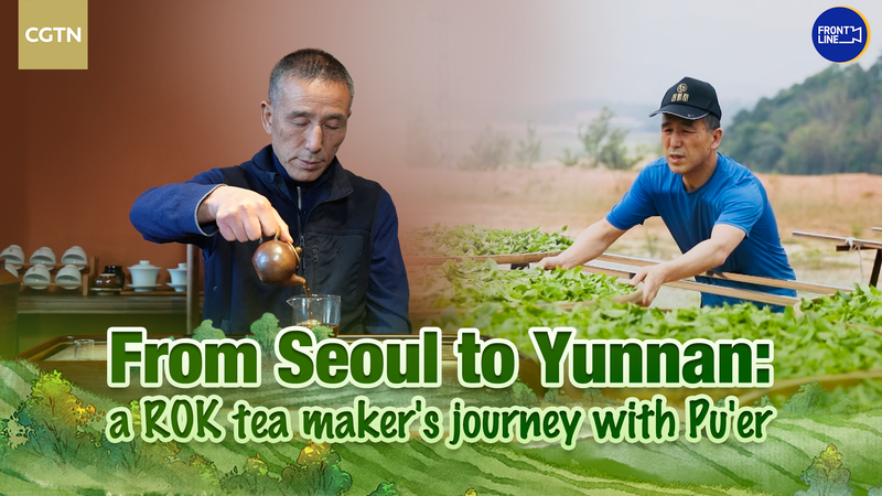 ROK Tea Master Bridges Cultures Through Chinese Pu’er Legacy video poster