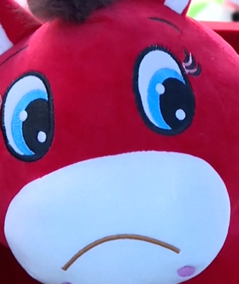 ‘Crying Pony’ Toy Sparks Emotional Consumption Trend in Asia video poster