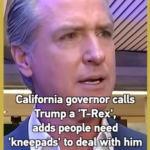 Newsom Slams Global Leaders’ Approach to Trump Diplomacy video poster