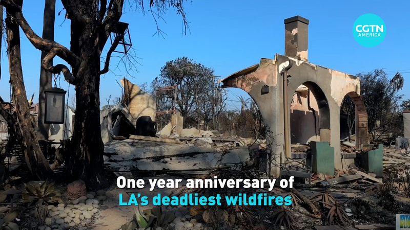 LA_Wildfire_Anniversary__Recovery_Challenges_Persist video poster