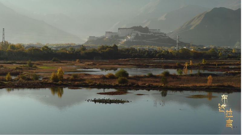 Lhalu_Wetland__Safeguarding_Lhasa_s_Ecological_Future_in_2026