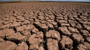 Morocco_Celebrates_End_of_Seven_Year_Drought_as_Winter_Rains_Revive_Water_Reserves