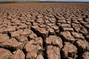 Morocco_Celebrates_End_of_Seven_Year_Drought_as_Winter_Rains_Revive_Water_Reserves