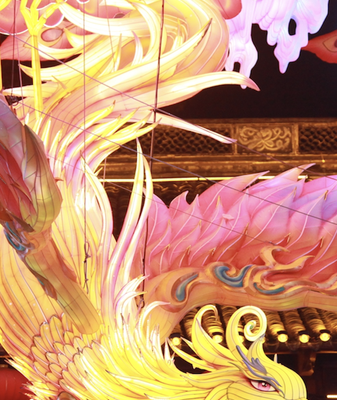 Nanjing_s_Confucius_Temple_Lights_Up_2026_with_Dazzling_Lantern_Display video poster