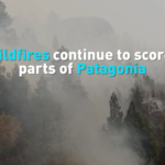 Patagonia_Wildfires_Threaten_Ancient_Forests__Ecosystems_in_2026 video poster