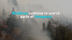 Patagonia_Wildfires_Threaten_Ancient_Forests__Ecosystems_in_2026 video poster